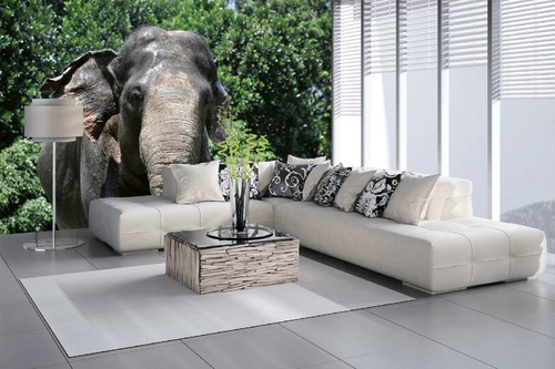 Vlies Fototapete - Sumatra-Elefant 375 x 250 cm